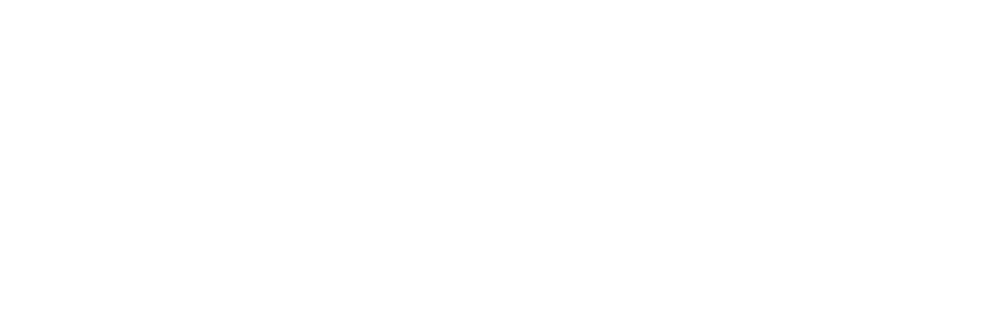 NANEK-POL